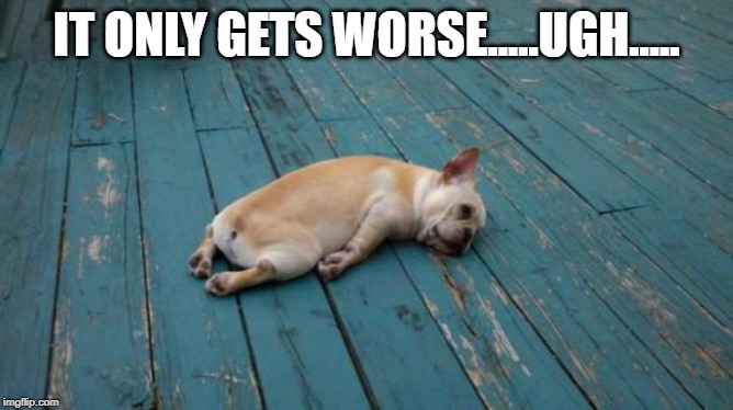 tired dog | IT ONLY GETS WORSE.....UGH..... | image tagged in tired dog | made w/ Imgflip meme maker