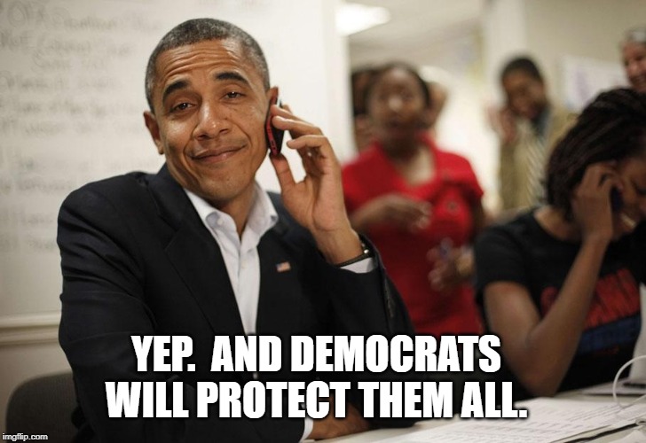 Yep | YEP.  AND DEMOCRATS WILL PROTECT THEM ALL. | image tagged in yep | made w/ Imgflip meme maker