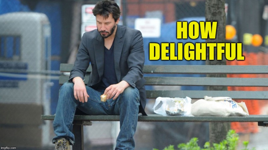 Sad Keanu Reeves on a bench | HOW DELIGHTFUL | image tagged in sad keanu reeves on a bench | made w/ Imgflip meme maker