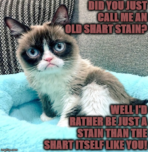 DID YOU JUST? | DID YOU JUST CALL ME AN OLD SHART STAIN? WELL I'D RATHER BE JUST A STAIN THAN THE SHART ITSELF LIKE YOU! | image tagged in did you just | made w/ Imgflip meme maker