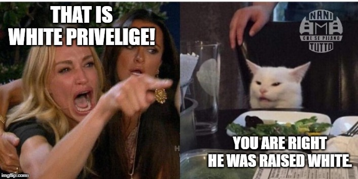 white cat table | THAT IS WHITE PRIVELIGE! YOU ARE RIGHT HE WAS RAISED WHITE. | image tagged in white cat table | made w/ Imgflip meme maker