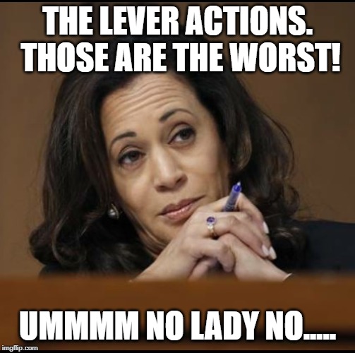 Kamala Harris  | THE LEVER ACTIONS.  THOSE ARE THE WORST! UMMMM NO LADY NO..... | image tagged in kamala harris | made w/ Imgflip meme maker