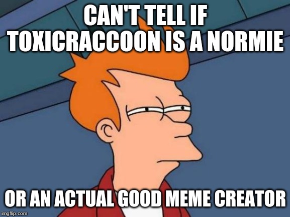 Futurama Fry | CAN'T TELL IF TOXICRACCOON IS A NORMIE; OR AN ACTUAL GOOD MEME CREATOR | image tagged in memes,futurama fry | made w/ Imgflip meme maker