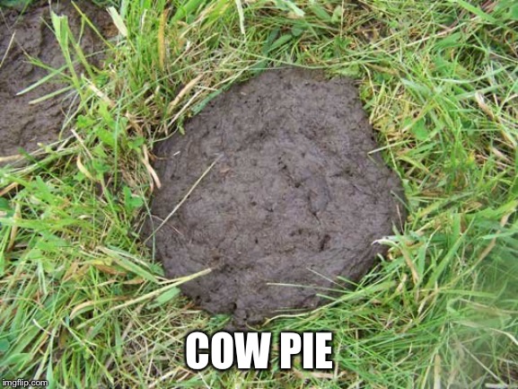 COW PIE | made w/ Imgflip meme maker