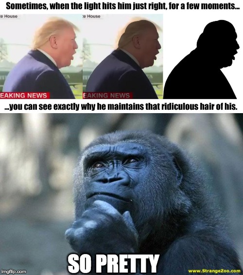 nice do LOL! | SO PRETTY | image tagged in deep thoughts,donald trump hair,narcissist,planet of the apes | made w/ Imgflip meme maker