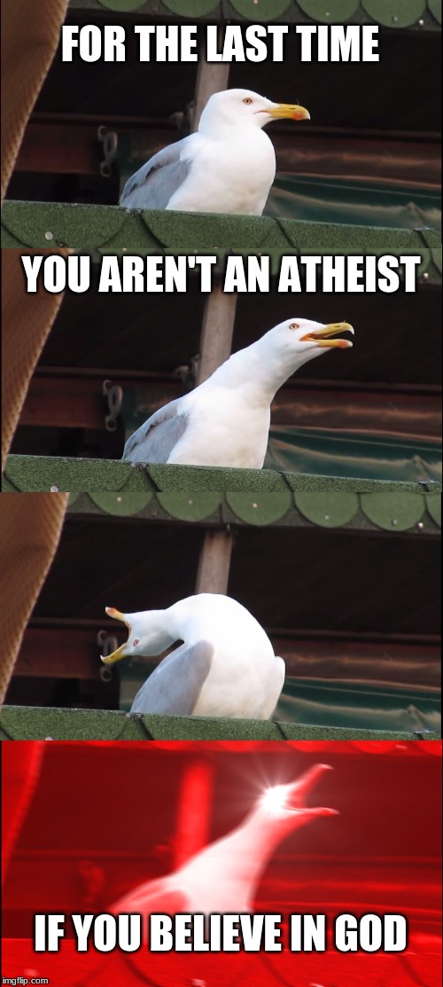 Inhaling Seagull Meme | FOR THE LAST TIME; YOU AREN'T AN ATHEIST; IF YOU BELIEVE IN GOD | image tagged in memes,inhaling seagull | made w/ Imgflip meme maker