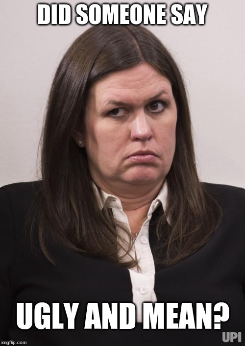 crazy sarah huckabee sanders | DID SOMEONE SAY UGLY AND MEAN? | image tagged in crazy sarah huckabee sanders | made w/ Imgflip meme maker