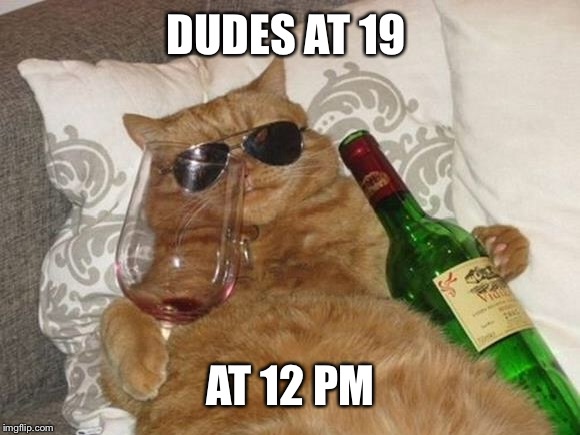 Funny Cat Birthday | DUDES AT 19; AT 12 PM | image tagged in funny cat birthday | made w/ Imgflip meme maker