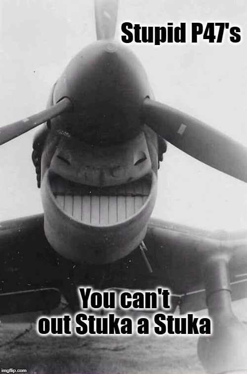 Stupid P47,s  You cant out Stuka a Stuka | Stupid P47's; You can't out Stuka a Stuka | image tagged in war thunder | made w/ Imgflip meme maker