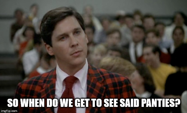 rush chairman | SO WHEN DO WE GET TO SEE SAID PANTIES? | image tagged in rush chairman | made w/ Imgflip meme maker