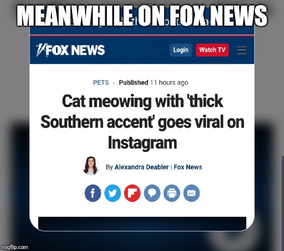 The world's news networks are talking impeachment and trumps shitty European visit and early exit,  ... | MEANWHILE ON FOX NEWS | image tagged in dump trump,fox news,twitter in chief | made w/ Imgflip meme maker