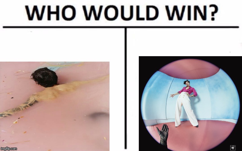 Who Would Win? | image tagged in memes,who would win | made w/ Imgflip meme maker