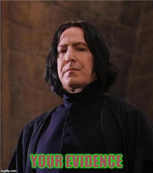 snape | YOUR EVIDENCE | image tagged in snape | made w/ Imgflip meme maker