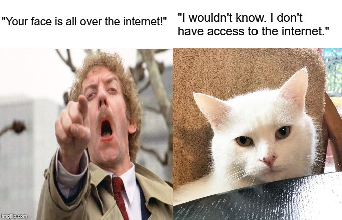 Donald Sutherland Yelling At Cat | "I wouldn't know. I don't have access to the internet."; "Your face is all over the internet!" | image tagged in woman yelling at cat,smudge the cat,invasion of the body snatchers,donald sutherland,memes | made w/ Imgflip meme maker