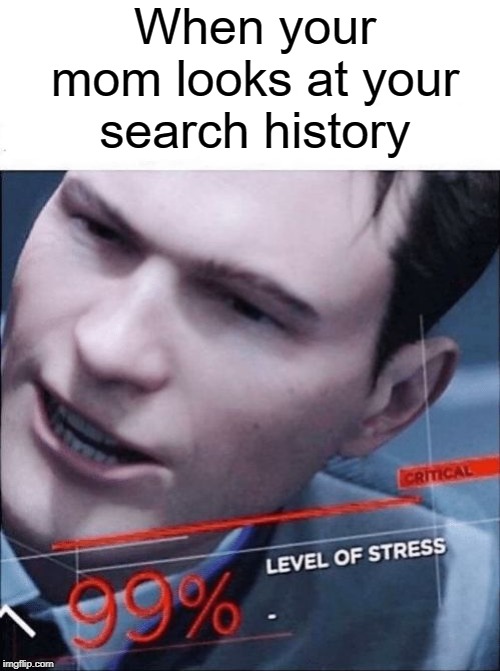 mom pls no | When your mom looks at your search history | image tagged in 99 level of stress,funny,memes,history,search history,mom | made w/ Imgflip meme maker