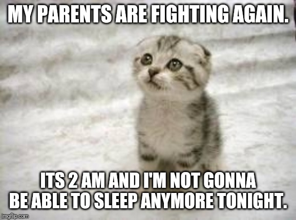 This is 3rd time this week. |  MY PARENTS ARE FIGHTING AGAIN. ITS 2 AM AND I'M NOT GONNA BE ABLE TO SLEEP ANYMORE TONIGHT. | image tagged in memes,sad cat,parents fighting,no sleep | made w/ Imgflip meme maker