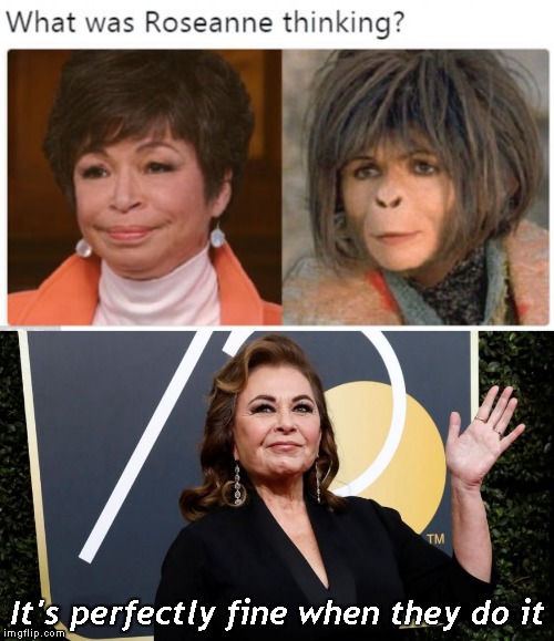 It's perfectly fine when they do it | image tagged in roseanne barr | made w/ Imgflip meme maker