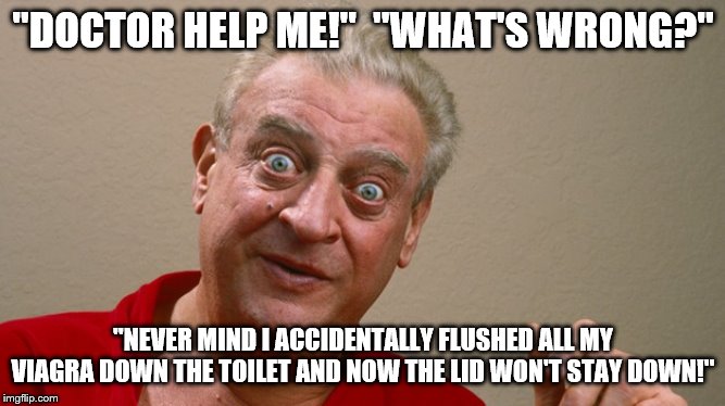 Rodney Dangerfield | "DOCTOR HELP ME!"  "WHAT'S WRONG?"; "NEVER MIND I ACCIDENTALLY FLUSHED ALL MY VIAGRA DOWN THE TOILET AND NOW THE LID WON'T STAY DOWN!" | image tagged in rodney dangerfield | made w/ Imgflip meme maker