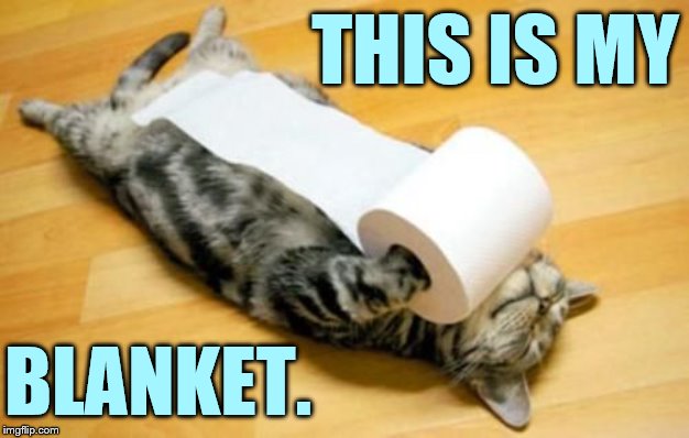 I Don't Care What Anyone Says | THIS IS MY; BLANKET. | image tagged in memes,kitten,toilet paper,roll,blanket,i don't care | made w/ Imgflip meme maker
