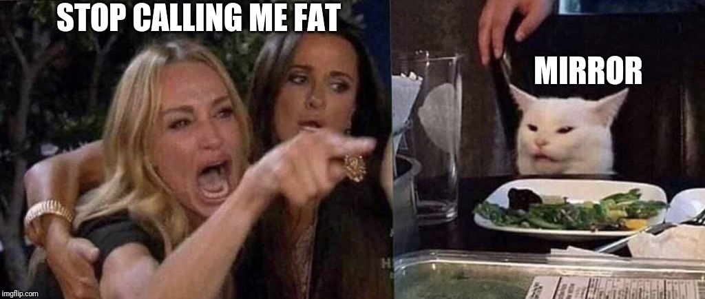 woman yelling at cat | STOP CALLING ME FAT; MIRROR | image tagged in woman yelling at cat | made w/ Imgflip meme maker