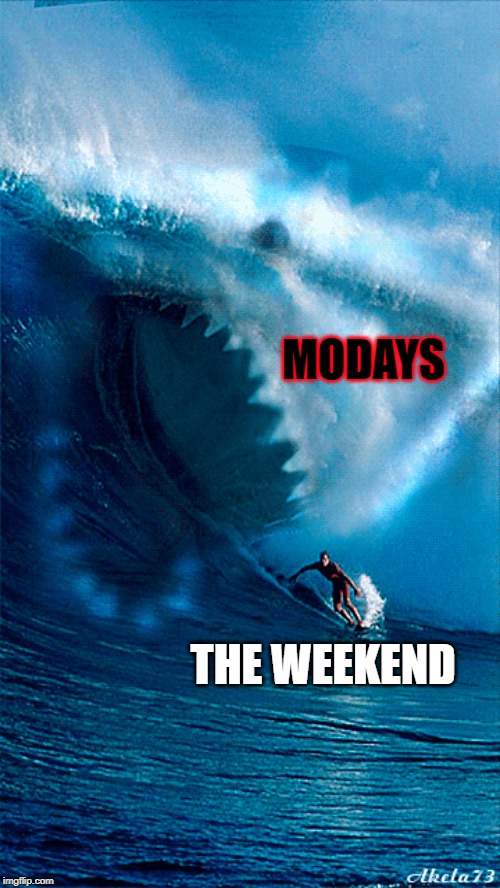 Big ass shark | MODAYS; THE WEEKEND | image tagged in shark | made w/ Imgflip meme maker