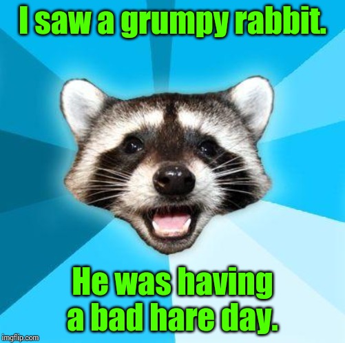 Bad Pun Coon | I saw a grumpy rabbit. He was having a bad hare day. | image tagged in bad pun coon | made w/ Imgflip meme maker