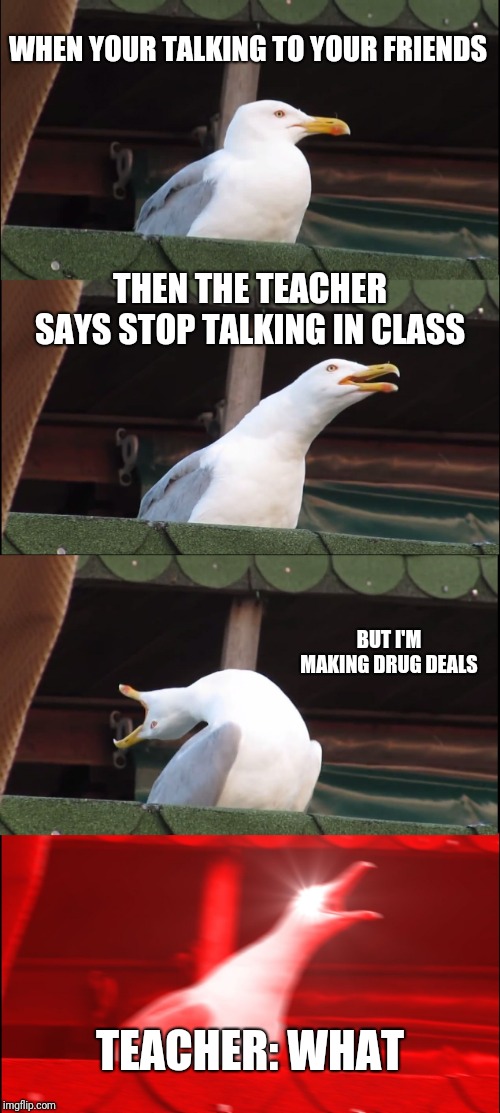 Inhaling Seagull Meme | WHEN YOUR TALKING TO YOUR FRIENDS; THEN THE TEACHER SAYS STOP TALKING IN CLASS; BUT I'M MAKING DRUG DEALS; TEACHER: WHAT | image tagged in memes,inhaling seagull | made w/ Imgflip meme maker