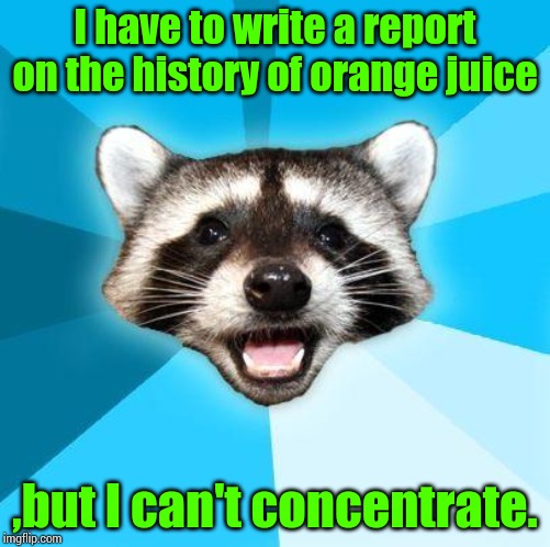 Bad Pun Coon | I have to write a report on the history of orange juice; ,but I can't concentrate. | image tagged in bad pun coon | made w/ Imgflip meme maker