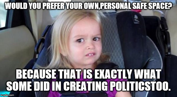 wtf girl | WOULD YOU PREFER YOUR OWN,PERSONAL SAFE SPACE? BECAUSE THAT IS EXACTLY WHAT SOME DID IN CREATING POLITICSTOO. | image tagged in wtf girl | made w/ Imgflip meme maker