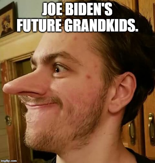 Joe The Sniffer | JOE BIDEN'S FUTURE GRANDKIDS. | image tagged in joe the sniffer | made w/ Imgflip meme maker