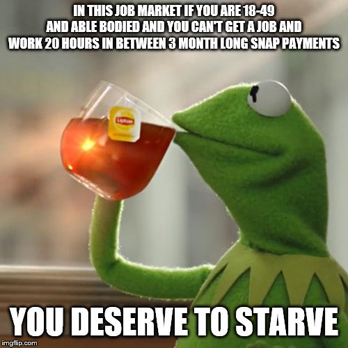 But That's None Of My Business Meme | IN THIS JOB MARKET IF YOU ARE 18-49 AND ABLE BODIED AND YOU CAN'T GET A JOB AND WORK 20 HOURS IN BETWEEN 3 MONTH LONG SNAP PAYMENTS; YOU DESERVE TO STARVE | image tagged in memes,but thats none of my business,kermit the frog,political memes | made w/ Imgflip meme maker