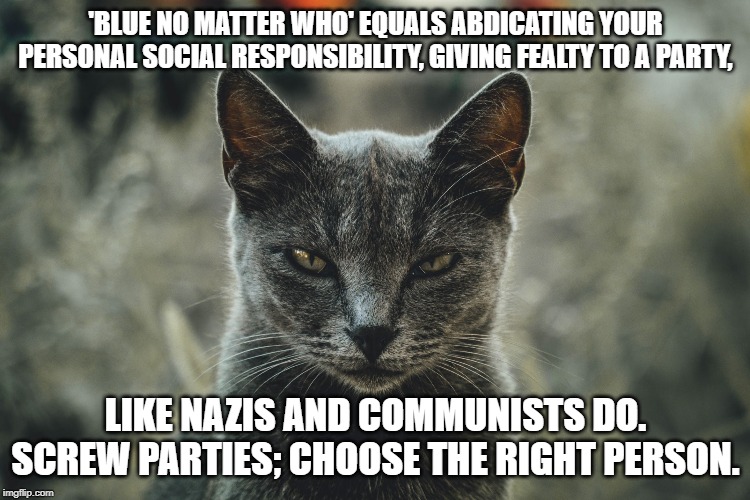 Deadly Serious Cat | 'BLUE NO MATTER WHO' EQUALS ABDICATING YOUR PERSONAL SOCIAL RESPONSIBILITY, GIVING FEALTY TO A PARTY, LIKE NAZIS AND COMMUNISTS DO. SCREW PARTIES; CHOOSE THE RIGHT PERSON. | image tagged in deadly serious cat | made w/ Imgflip meme maker