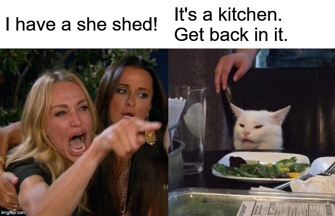 Woman Yelling At Cat | I have a she shed! It's a kitchen. Get back in it. | image tagged in memes,woman yelling at cat | made w/ Imgflip meme maker