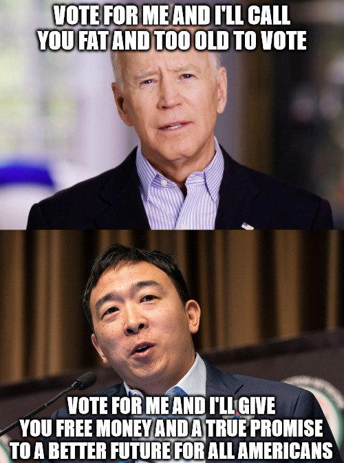 Yang Gang 2020, Baby!!! | VOTE FOR ME AND I'LL CALL YOU FAT AND TOO OLD TO VOTE; VOTE FOR ME AND I'LL GIVE YOU FREE MONEY AND A TRUE PROMISE TO A BETTER FUTURE FOR ALL AMERICANS | image tagged in politics,political meme,united states,andrew yang,yang 2020,yang gang | made w/ Imgflip meme maker