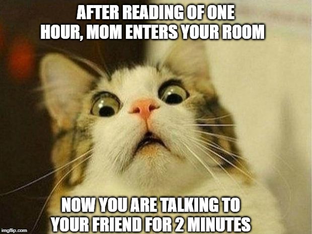 Scared Cat Meme | AFTER READING OF ONE HOUR, MOM ENTERS YOUR ROOM; NOW YOU ARE TALKING TO YOUR FRIEND FOR 2 MINUTES | image tagged in memes,scared cat | made w/ Imgflip meme maker