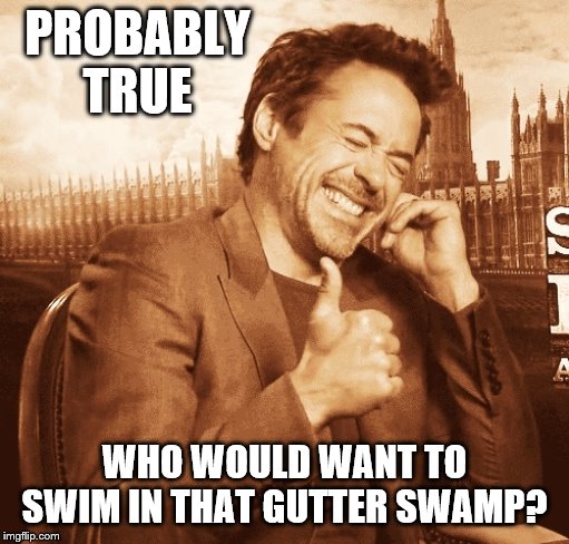 laughing | PROBABLY TRUE WHO WOULD WANT TO SWIM IN THAT GUTTER SWAMP? | image tagged in laughing | made w/ Imgflip meme maker