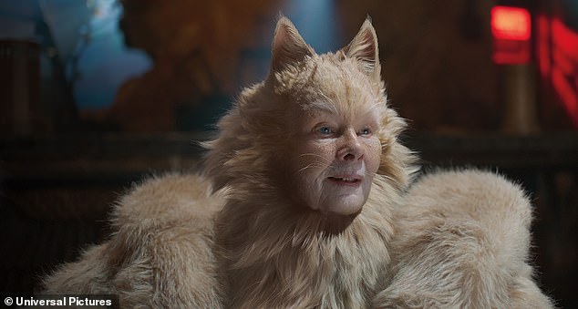 High Quality Judi Dench Cats Blank Meme Template