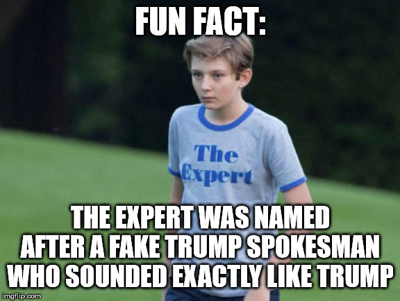 The Expert | FUN FACT:; THE EXPERT WAS NAMED AFTER A FAKE TRUMP SPOKESMAN WHO SOUNDED EXACTLY LIKE TRUMP | image tagged in the expert | made w/ Imgflip meme maker