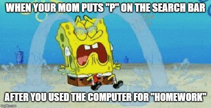 cryin | WHEN YOUR MOM PUTS "P" ON THE SEARCH BAR; AFTER YOU USED THE COMPUTER FOR "HOMEWORK" | image tagged in cryin | made w/ Imgflip meme maker