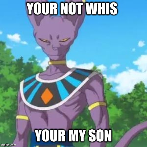 Lord Beerus | YOUR NOT WHIS YOUR MY SON | image tagged in lord beerus | made w/ Imgflip meme maker