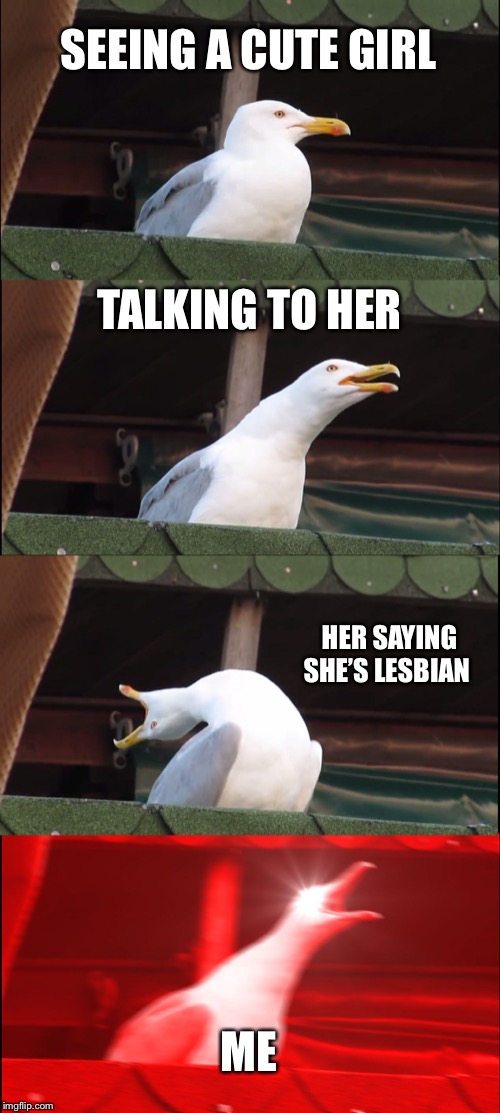 Inhaling Seagull | SEEING A CUTE GIRL; TALKING TO HER; HER SAYING SHE’S LESBIAN; ME | image tagged in memes,inhaling seagull | made w/ Imgflip meme maker