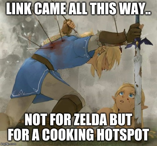 Link and zelda | LINK CAME ALL THIS WAY.. NOT FOR ZELDA BUT FOR A COOKING HOTSPOT | image tagged in link and zelda | made w/ Imgflip meme maker