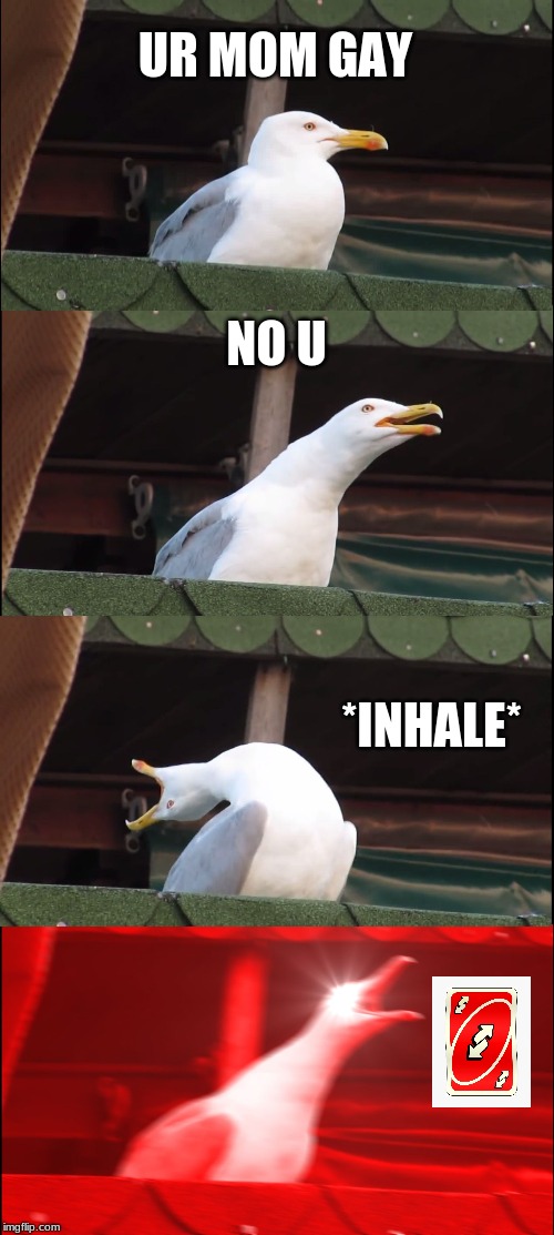 Inhaling Seagull | UR MOM GAY; NO U; *INHALE* | image tagged in memes,inhaling seagull | made w/ Imgflip meme maker