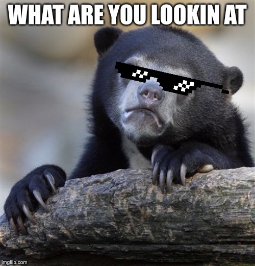 Confession Bear | WHAT ARE YOU LOOKIN AT | image tagged in memes,confession bear | made w/ Imgflip meme maker