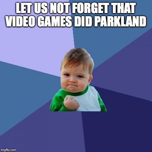 Success Kid | LET US NOT FORGET THAT VIDEO GAMES DID PARKLAND | image tagged in memes,success kid | made w/ Imgflip meme maker