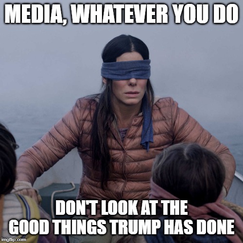 Bird Box Meme | MEDIA, WHATEVER YOU DO; DON'T LOOK AT THE GOOD THINGS TRUMP HAS DONE | image tagged in memes,bird box | made w/ Imgflip meme maker