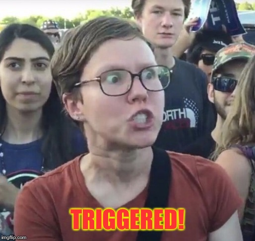 Triggered feminist | TRIGGERED! | image tagged in triggered feminist | made w/ Imgflip meme maker