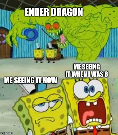 Scared Spongebob and Boomer spongebob | ENDER DRAGON; ME SEEING IT WHEN I WAS 8; ME SEEING IT NOW | image tagged in scared spongebob and boomer spongebob | made w/ Imgflip meme maker