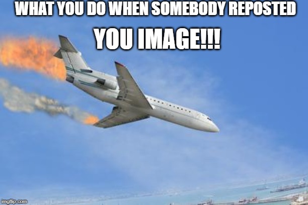 Crashing PLane | WHAT YOU DO WHEN SOMEBODY REPOSTED; YOU IMAGE!!! | image tagged in crashing plane | made w/ Imgflip meme maker