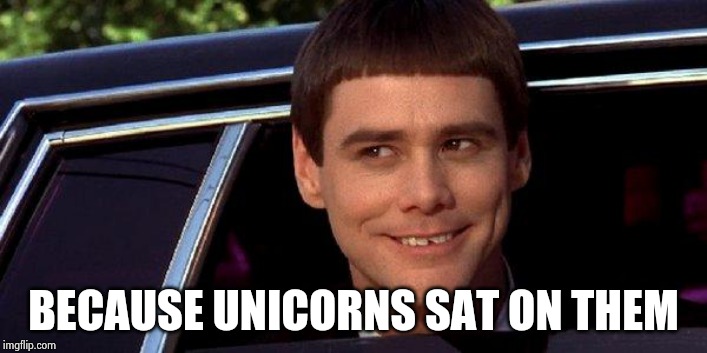 dumb and dumber | BECAUSE UNICORNS SAT ON THEM | image tagged in dumb and dumber | made w/ Imgflip meme maker